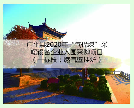 邯鄲廣平縣工程案例